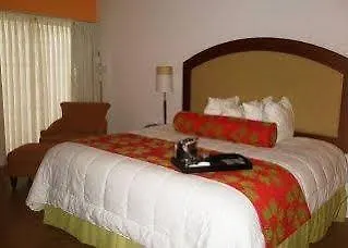 Hotel Holiday Inn Express St. Louis Central West End By Ihg