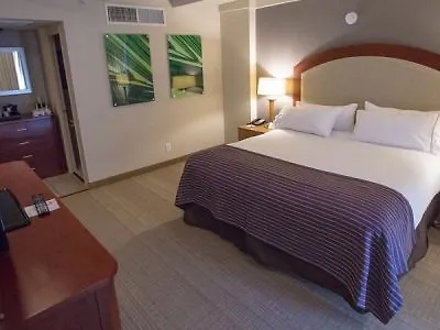 *** Hotel Holiday Inn Express St. Louis Central West End By Ihg United States