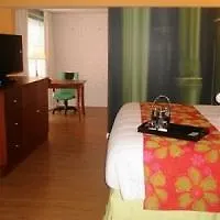 Holiday Inn Express St. Louis Central West End By Ihg 3*, Saint Louis United States
