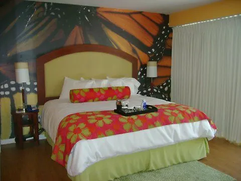 Holiday Inn Express St. Louis Central West End By Ihg Saint Louis