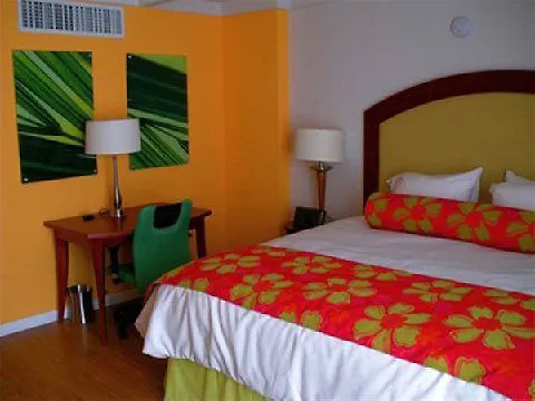 Hotel Holiday Inn Express St. Louis Central West End By Ihg